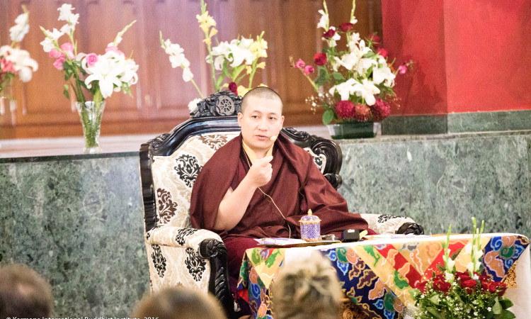 His Holiness Gyalwa Karmapa Teaches on Merit and Wisdom