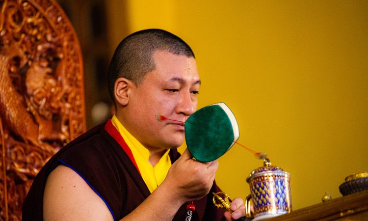 Karmapa Public Course / 2024